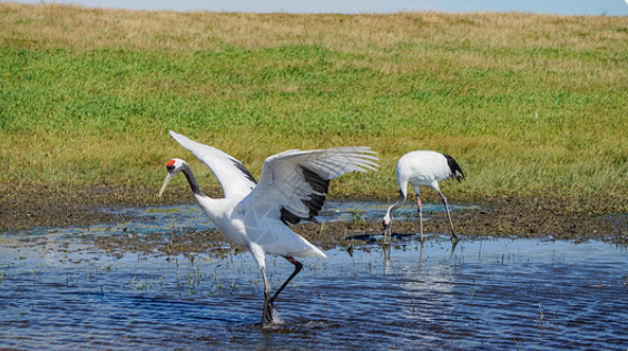 哈萨克斯坦阿克套燃机项目运行期环评许可申办服务采购成交候选人公示
